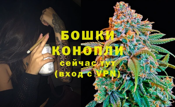 гидропоника Богородицк