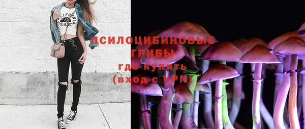гидропоника Богородицк