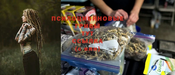 тгк Бронницы